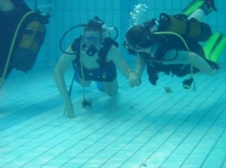 free introduction to the swimming pool 